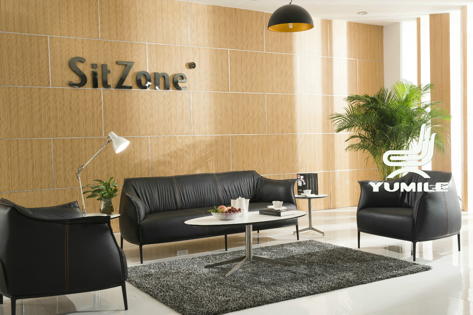 YSF-1 (2)（改大小）.jpg